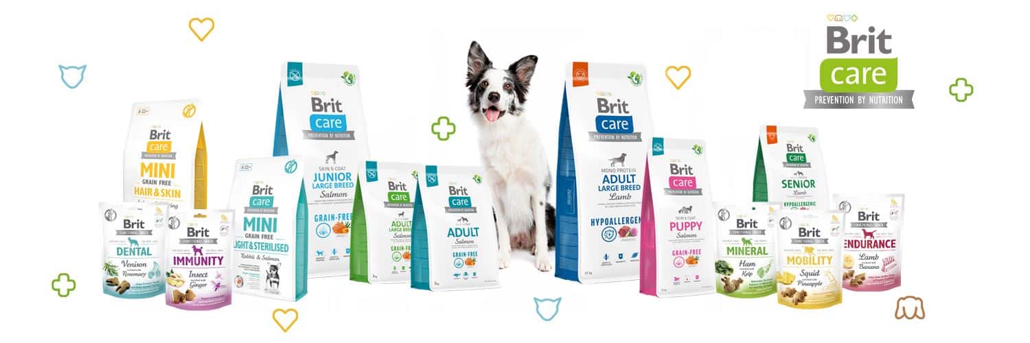 Pet Çeşitleri ve Mama Ürünleri - Petcling Pet Market'te sağlıklı ve kaliteli evcil hayvan ürünleri.